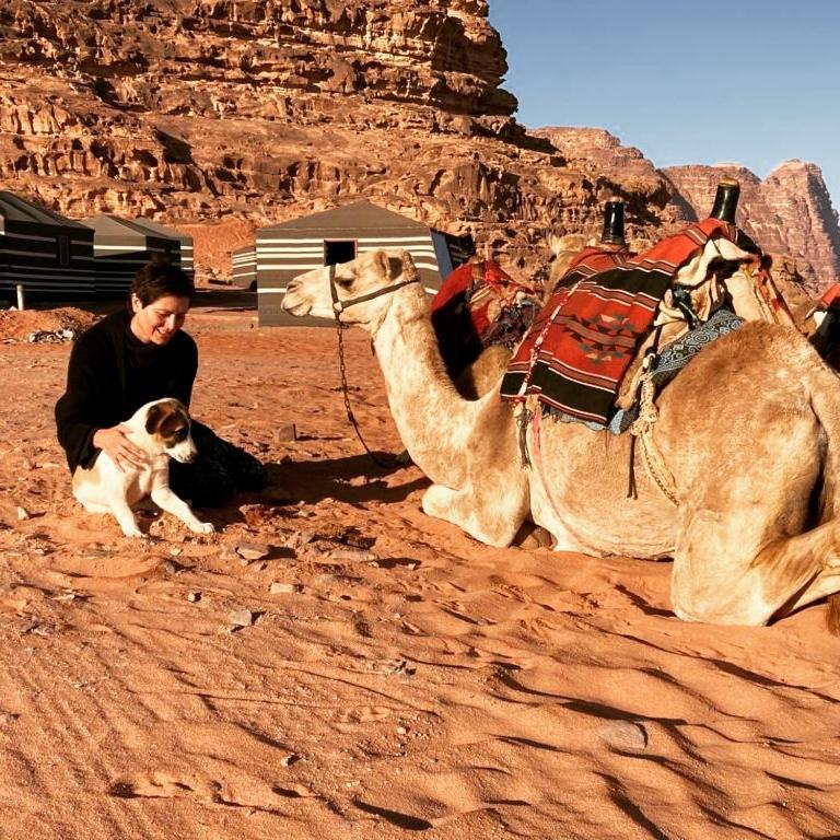 Desert Magic Camp & Resort 와디럼 외부 사진
